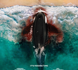 Killer Whale