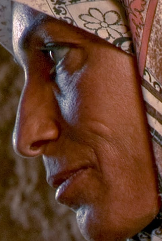 Poster 2 de Curta Sari's Mother (2006)