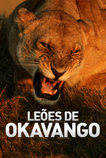 Leões de Okavango - Poster / Capa / Cartaz - Oficial 1