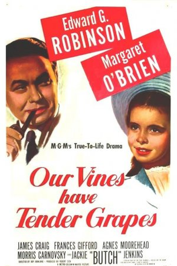 Poster de Filme O Roseiral da Vida (1945)