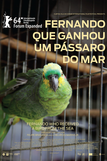 Poster de Curta Fernando que Ganhou um Pássaro do Mar (2013)