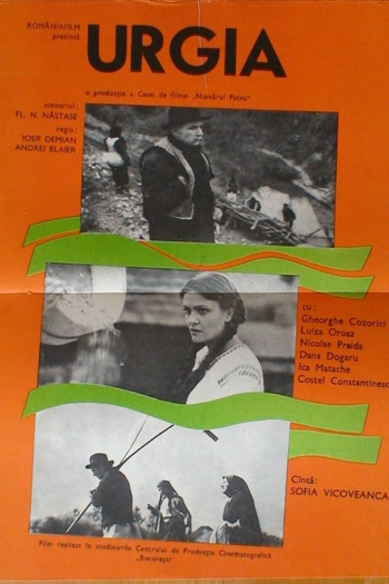 Poster de Filme Calamidade (1978)