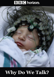 Por que falamos? (Why do we talk?)