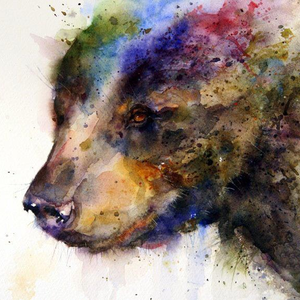 Foto de perfil de Daniel Araújo