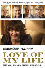 Love of My Life (Love of My Life)