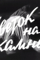 Flor Sobre a Pedra (Tsvetok na Kamne)