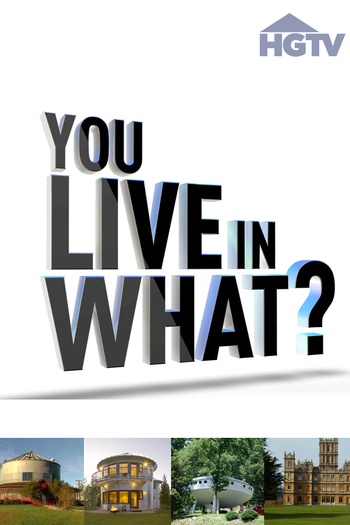 Poster de Franquia You Live in What? (2012)