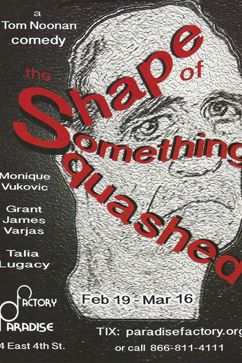 Poster de Filme The Shape of Something Squashed (2014)