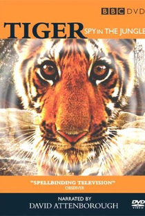 Tigre - Um Espião na Selva - Poster / Capa / Cartaz - Oficial 1