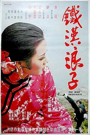 Poster de Filme O Vagabundo Invencível (1974)