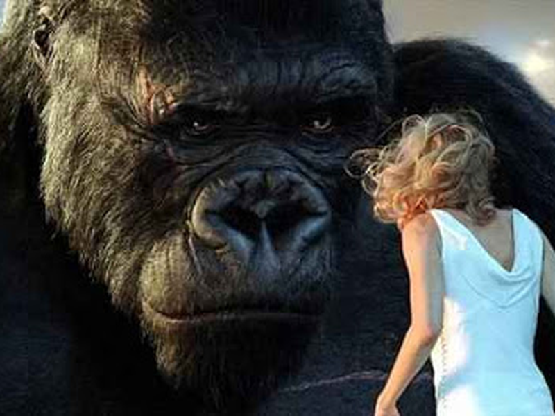 Foto 5 de King Kong