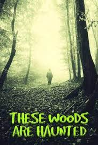 Poster 1 de Série Florestas Mal-Assombradas (2017)