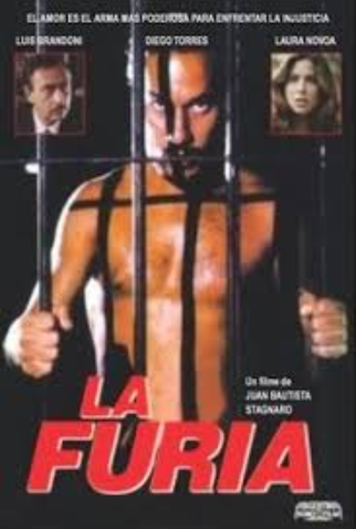 Poster 1 de Filme A Fúria (1997)