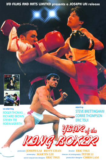 Poster de Filme O ano do King Boxer (1990)