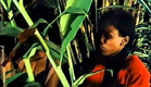 SAIKATI directed by Anne Mungai (90 minutes | 1992 Kenyan fiction film)