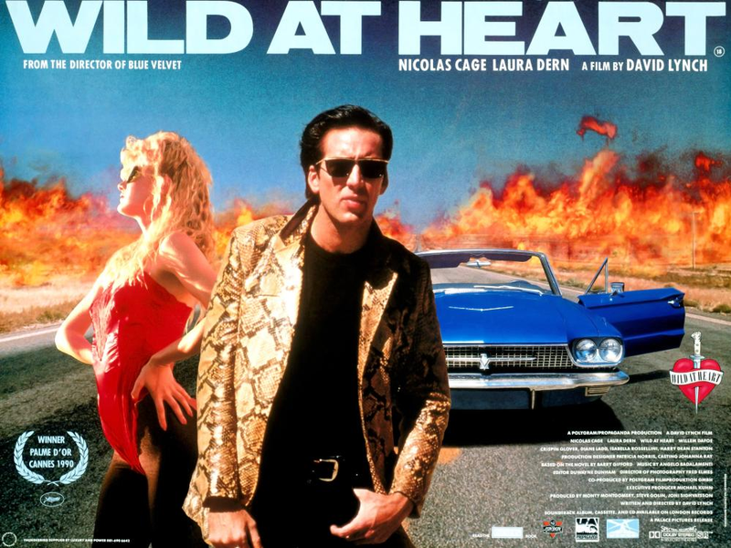 Foto 36 de Coração Selvagem