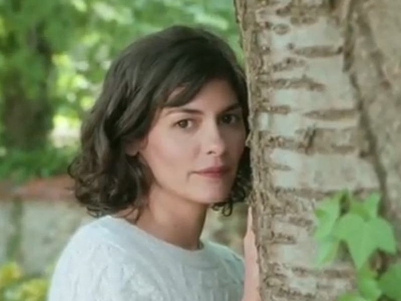 Foto 1 de A Delicadeza do Amor