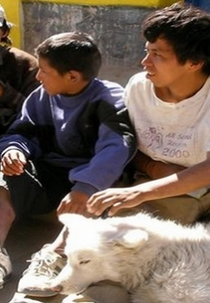 Rios de Homens (Rivers of Men)