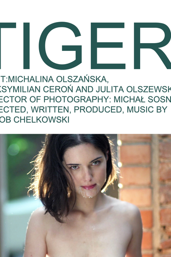 Poster de Curta Tiger (2014)