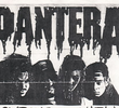 Pantera: In Concert