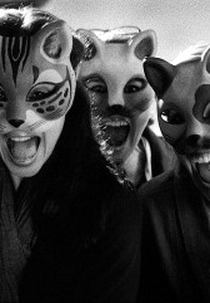 Cat’s Dance (Cat’s Dance)