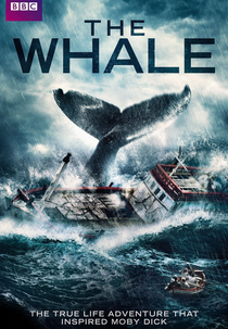 The Whale  (The Whale )