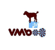 MTV Video Music Brasil | VMB 2008