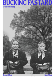 Bucking Fastard (Bucking Fastard)