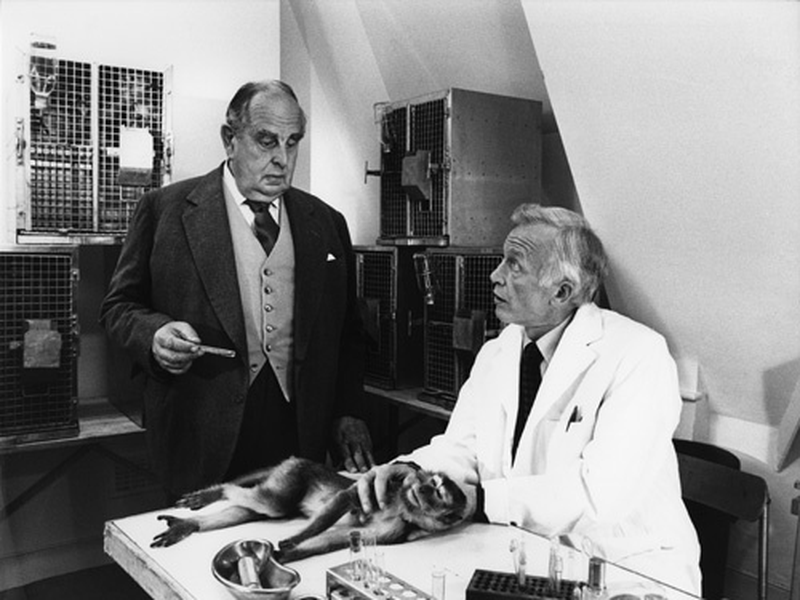 Foto 1 de O Fator Humano