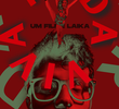 Roda Viva