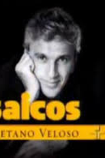 Mosaicos - A Arte de Caetano Veloso (Mosaicos - A Arte de Caetano Veloso)
