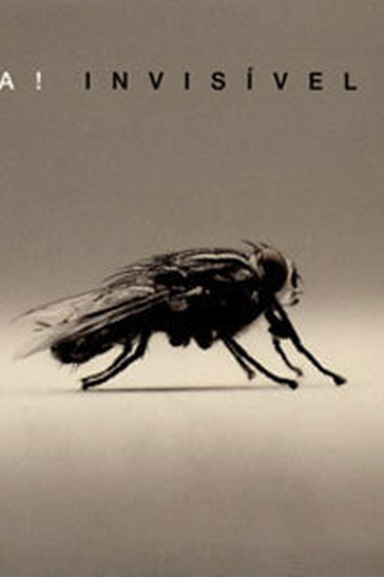 Poster de Filme Invisível D.J  - IRA! (2006)