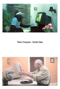 Peter’s Computer: Gorilla Video - Poster / Capa / Cartaz - Oficial 1