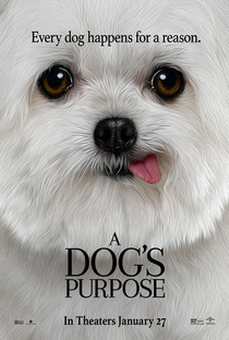Quatro Vidas de Um Cachorro - Poster / Capa / Cartaz - Oficial 4