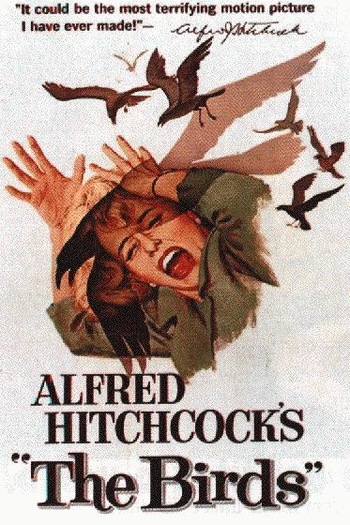  de Filme Os Pássaros (1963)