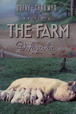 Poster 1 de Curta A fazenda (1938)