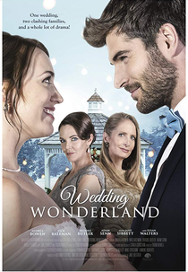 Casamento Encantado (A Family For The Holidays)