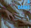 Adeus À Carne