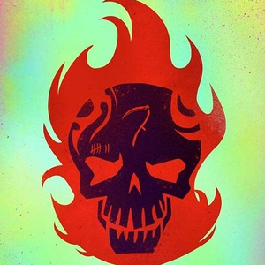 Foto de perfil de Marcelo S. dos Santos