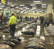 Tsukiji Market