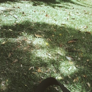 Foto de perfil de Matheus A