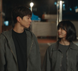 14회
