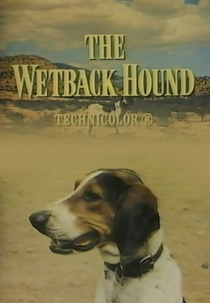 The Wetback Hound (The Wetback Hound)