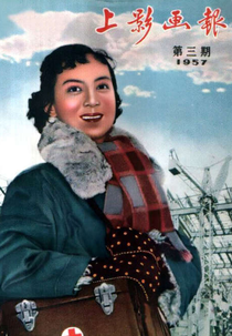 Diary of a Nurse (Hushi riji)