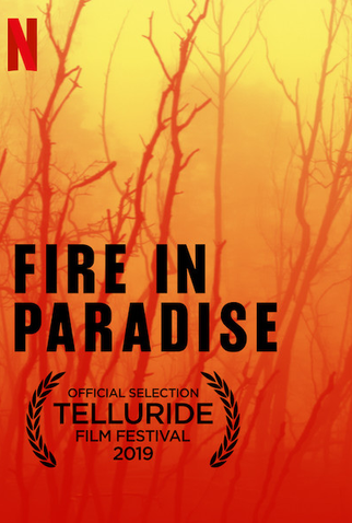 Poster 2 de Curta Paradise em Chamas (2019)