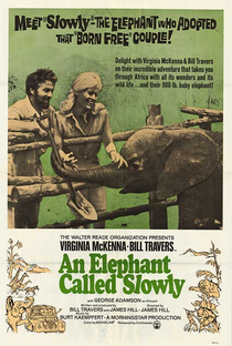 Um Amor De Elefante - Poster / Capa / Cartaz - Oficial 1