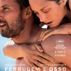Ferrugem e Osso (2012)