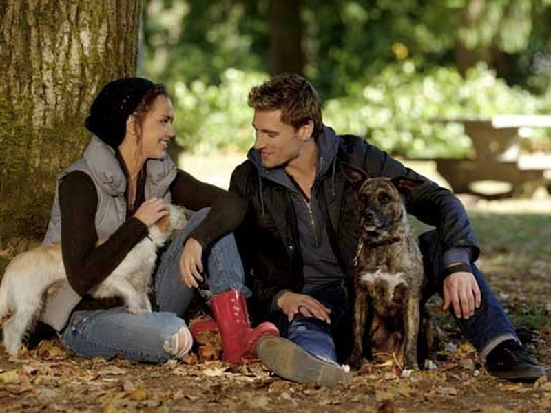 Foto 1 de A Bride for Christmas