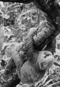 Now, at Last! (Now, at Last!)