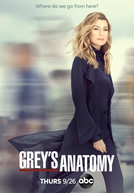 A Anatomia de Grey (16ª Temporada) (Grey's Anatomy (Season 16))
